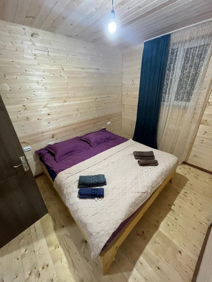 Guest House Caucasioni Adishi Kültér fotó